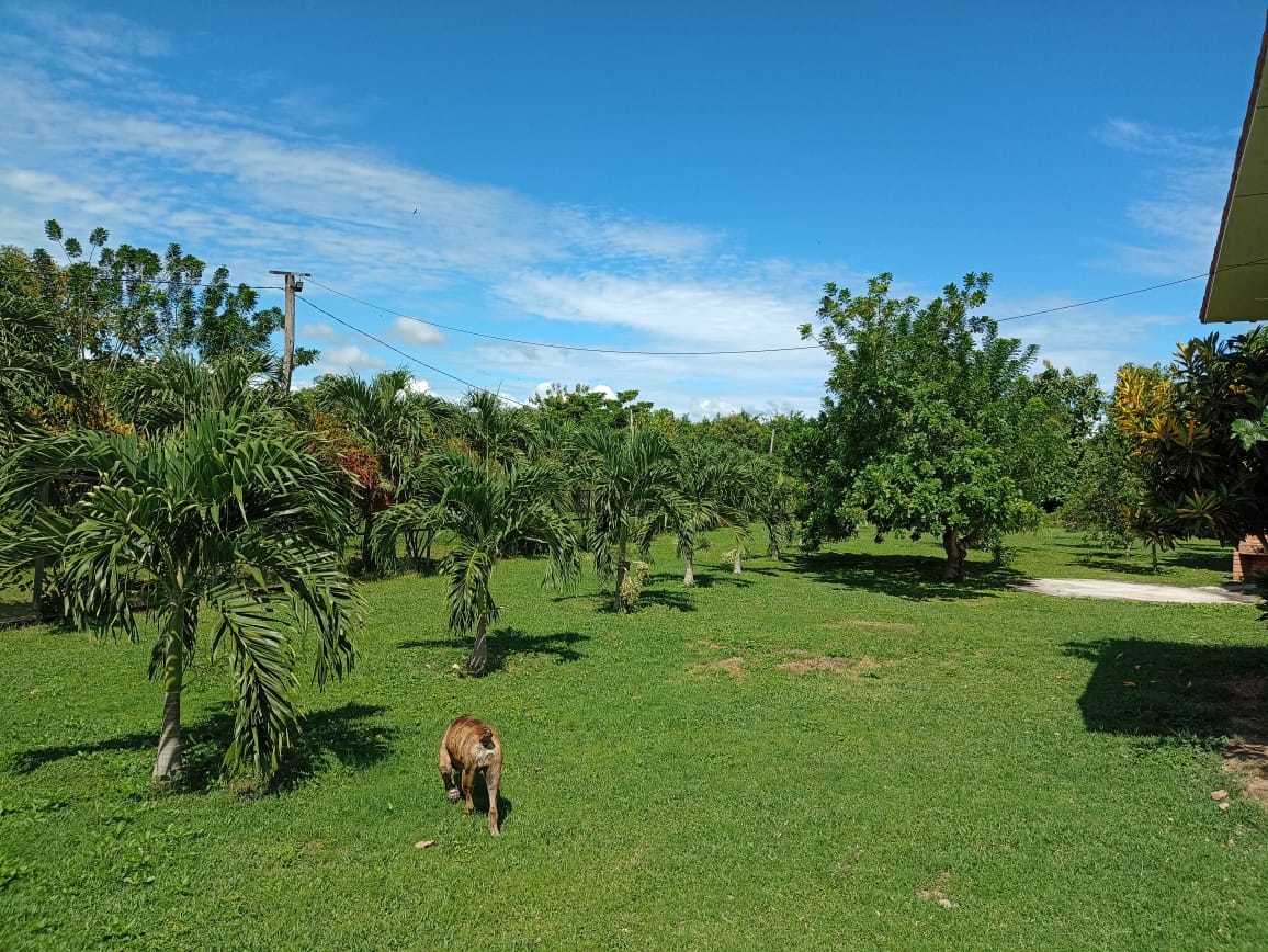 Vive en armonía con la naturaleza a solo 20 minutos de Tarapoto en un area de 4286 m2